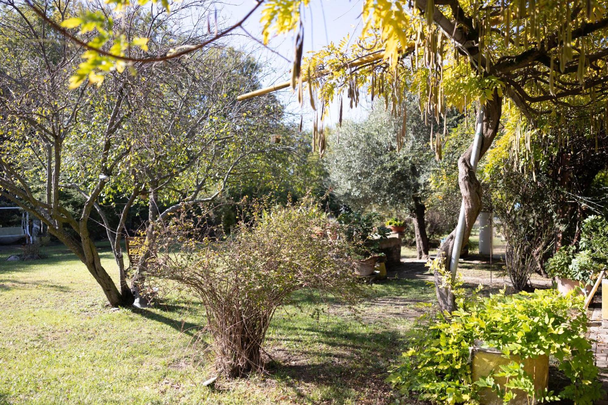 كاستيلفرانكو إميليا Locanda Acetaia Malagoli Daniele المظهر الخارجي الصورة