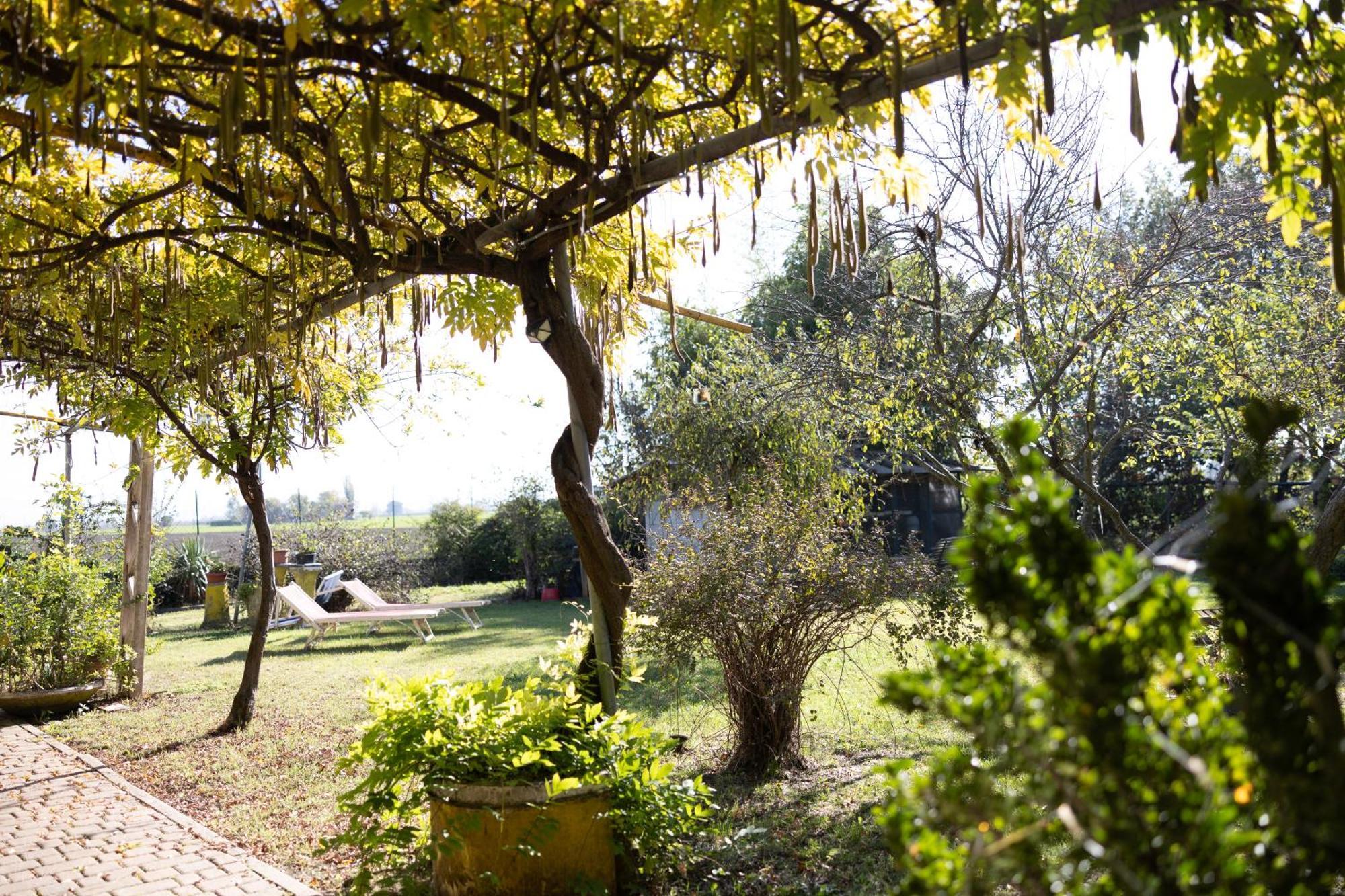 كاستيلفرانكو إميليا Locanda Acetaia Malagoli Daniele المظهر الخارجي الصورة